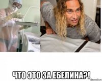  что это за ебелина?!