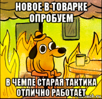новое в товарке опробуем в чемпе старая тактика отлично работает
