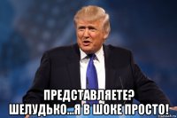  представляете? шелудько...я в шоке просто!