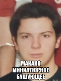  макако миниатюрное бушующее