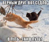 верный друг, вот седло в путь - так в путь!