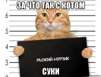 за что так с котом суки
