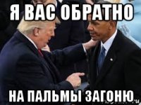 я вас обратно на пальмы загоню
