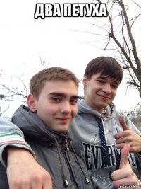 два петуха 