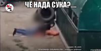 чё нада сука?.... 