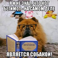я и не знал, что кот бегимот - на самом деле является собакой!