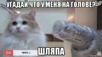 угадай что у меня на голове? шляпа