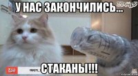 у нас закончились... стаканы!!!
