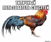 типичный пользователь соцсетей 