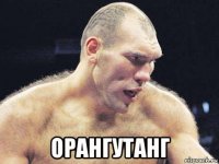  орангутанг