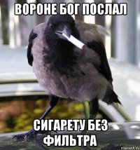 вороне бог послал сигарету без фильтра