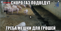 скоро газ подведут треба мешки для грошей