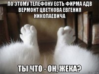 по этому телефону есть фирма адв вермонт цветкова евгения николаевича ты что - он, жека?
