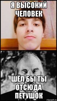 я высокий человек шёл бы ты отсюда петушок