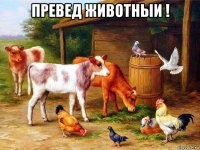 превед животныи ! 