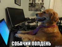  собачий полдень