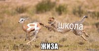  жиза