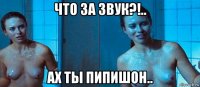 что за звук?!.. ах ты пипишон..