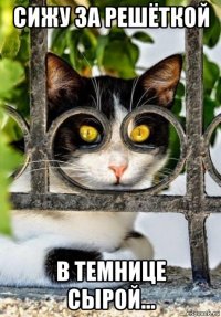 сижу за решёткой в темнице сырой...