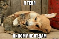 я тебя никому не отдам