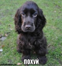  похуй