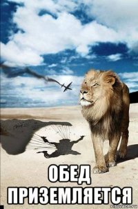  обед приземляется