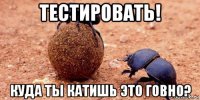 тестировать! куда ты катишь это говно?