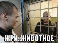  жри..животное
