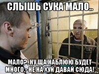 слышь сука мало.. мало?..ну ща наблюю будет много,- не на хуй давай сюда!