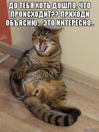 до тебя хоть дошло, что происходит?? приходи объясню... это интересно.. 