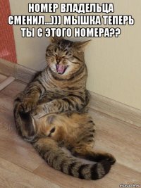 номер владельца сменил...))) мышка теперь ты с этого номера?? 