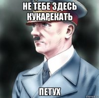 не тебе здесь кукарекать петух