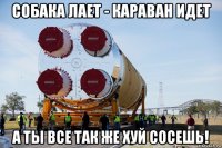 собака лает - караван идет а ты все так же хуй сосешь!