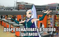  добро пожаловать в логово цыганов!