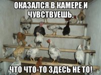 оказался в камере и чувствуешь, что что-то здесь не то!