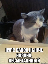  курс бакса нынче низкий, несметаннный