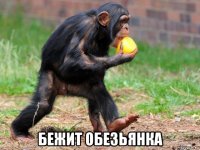  бежит обезьянка