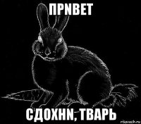 пpnвеt сдоxнn, tваpь