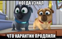 когда узнал что карантин продлили