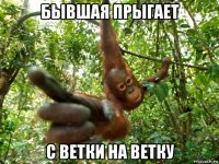 бывшая прыгает с ветки на ветку