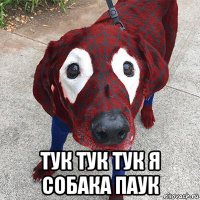  тук тук тук я собака паук