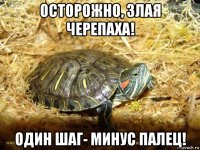 осторожно, злая черепаха! один шаг- минус палец!