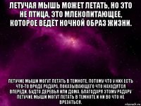 летучая мышь может летать, но это не птица, это млекопитающее, которое ведёт ночной образ жизни. летучие мыши могут летать в темноте, потому что у них есть что-то вроде радара, показывающего что находятся впереди, будто деревья или дома. благодаря этому радару летучие мыши могут летать в темноте и ни во что не врезаться.