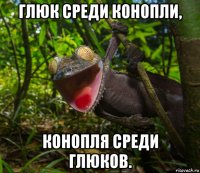 глюк среди конопли, конопля среди глюков.