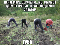какое море, дорогая?!... мы с мамой едем по грибы!... и наслаждаемся закатом губы....