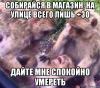 собирайся в магазин, на улице всего лишь +30 дайте мне спокойно умереть