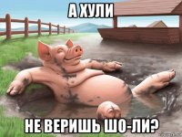 а хули не веришь шо-ли?