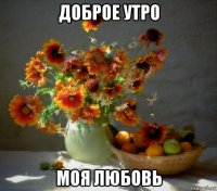 доброе утро моя любовь