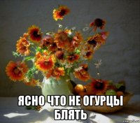  ясно что не огурцы блять