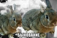  быкование